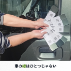 同じ緑に見えても、車の色は1色ではありません 🚗🌿